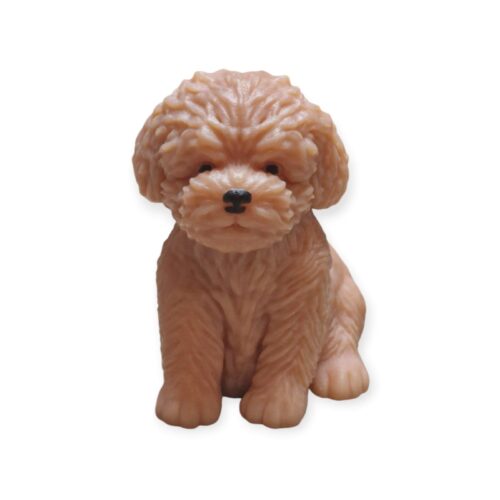 Chien
